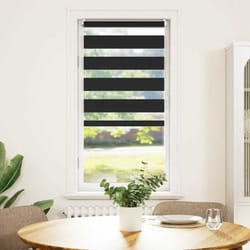 Vidaxl - Store enrouleur tamisant 40 x 100 cm noir