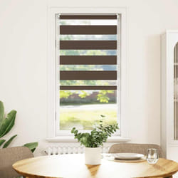 Vidaxl - Store enrouleur tamisant 60 x 120 cm marron
