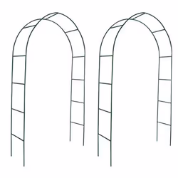 vidaXL Arche de jardin 2 pcs pour plantes grimpantes - TU