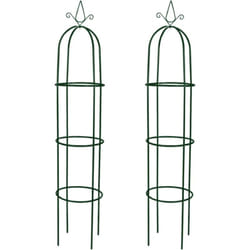 vidaXL Arche de jardin en forme de tour 2 pcs