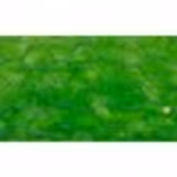 vidaXL Grillage à poule avec revêtement en PVC 25x0,5 m vert