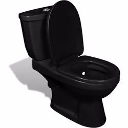 Description générale Cette élégante toilette en céramique noire présente un design contemporain et fonctionnel. Elle est équi ...