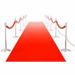 Ce tapis rouge est le choix parfait pour décorer l'entrée d'un restaurant, club ou hôtel. C'est un article indispensable pour ...