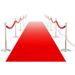 Vidaxl - Tapis rouge 1 x 10 m 400 g/m≤