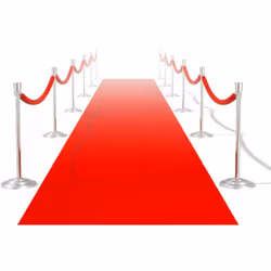 Ce tapis rouge est le choix parfait pour décorer l'entrée d'un restaurant, club ou hôtel. C'est un article indispensable pour ...
