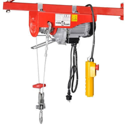 Palan électrique 500 W 100/200 kg vidaXL