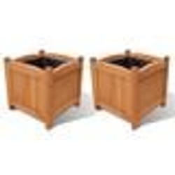 vidaXL Ensemble de 2 lits surélevés Bois 30x30x30 cm - TU