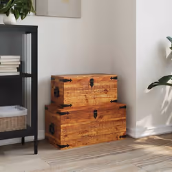 Cet ensemble de 2 coffres de rangement en bois de manguier brut, un accessoire intemporel pour votre maison, vous donnera amp ...