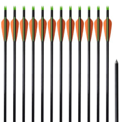 vidaXL Flèche d'arc à poulies standard 12pcs 30" 0,8 cm fibre de verre - TU