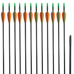 vidaXL Flèche d'arc recourbé 12 pcs 30" 0,6 cm fibre de verre - TU