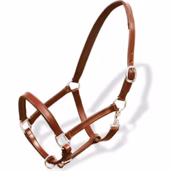 Ce licol, fait en cuir de buffle de haute qualité, peut réglé facilement et muni d'un design élégant. Ce licol est rembourré  ...