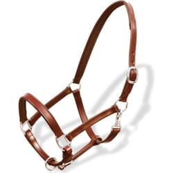 Vidaxl - Licol Licou en cuir réglable pour écurie Cob Marron