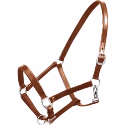 Ce licol, fait en cuir de buffle de haute qualité, peut réglé facilement et muni d'un design élégant. Ce licol est rembourré  ...