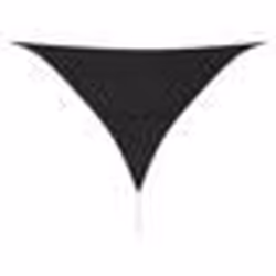 vidaXL Parasol en PEHD triangulaire 3,6 x 3,6 x 3,6 m Anthracite - TU