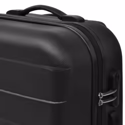 VidaXL 91141 bagage Ensemble de sacs de voyage Casque à coque dure Noir ABS