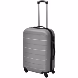 VidaXL 91142 bagage Ensemble de sacs de voyage Casque à coque dure Argent ABS
