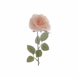 Code produit : 628638 Conditionnement : 1 pièce Couleur : Rose Dimensions : cm. 45h Code produit : 628638 Conditionnement : 1 ...