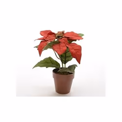 Plante artificielle - KAEMIN - Poinsettia en pot - Rouge - DIA30X27CM - Design contemporain