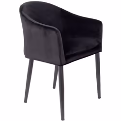 White Label Living Catelyn, Noir, Contre-plaqué, Polyester, Polyuréthane (PU), Acier, Catelyn, 120 kg, Chine, 555 mm