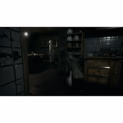 SOEDESCO Remothered : Tormented Fathers Standard PlayStation 4 - Vue supplémentaire 5