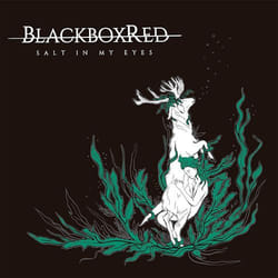 ImportCDs Salt in My Eyes Vinyl Pop rock