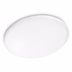 Philips Fonctionnel Plafonnier 318153116