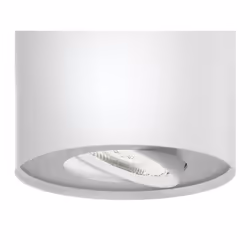 Philips Dimmable LED Spot simple Phase, Spot d'éclairage de surface, Ampoule(s) non remplaçable(s), 1 ampoule(s), LED, 4,5 W, ...