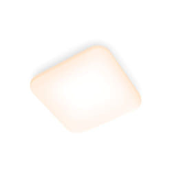 Philips Fonctionnel 8718696162804 éclairage de plafond Blanc LED
