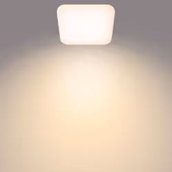 Philips Fonctionnel 8718696162804 éclairage de plafond Blanc LED
