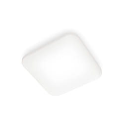 Philips Fonctionnel 8718696162811 éclairage de plafond Blanc LED