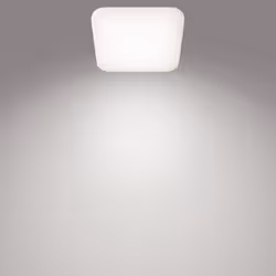 Philips Fonctionnel 8718696162811 éclairage de plafond Blanc LED