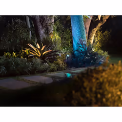 Philips Hue White and Color ambiance Spot extérieur Lily XL