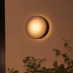 Philips Hue White and Color ambiance Applique murale extérieure Daylo - Vue supplémentaire 6