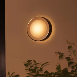 Philips Hue White and Color ambiance Applique murale extérieure Daylo - Vue supplémentaire 5