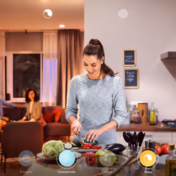 Philips Hue White ambiance Lampe à poser Wellner