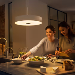 Philips Hue White ambiance Suspension Fair