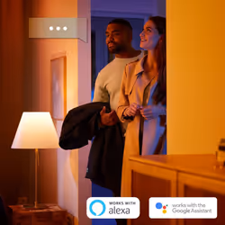 Philips Hue White ambiance Panneau lumineux rond Aurelle Hue, Éclairage de plafond intelligent, Blanc, Bluetooth/Zigbee, LED, ...
