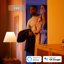 Philips Hue White and Color ambiance Suspension Ensis