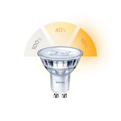 Philips Spot