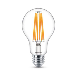 Philips Ampoule 8718696742396