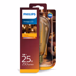Philips Globe 8718696743058