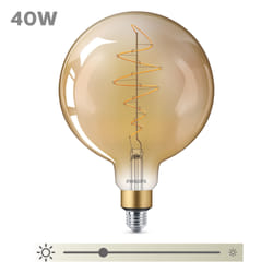 Philips Ampoule (à intensité variable)