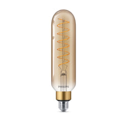 Philips Ampoule (à intensité variable)