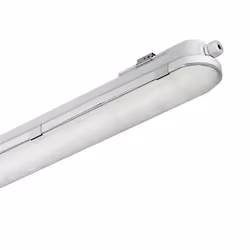 Philips WT120C, 4000 K, 6000 lm, IP65, Gris