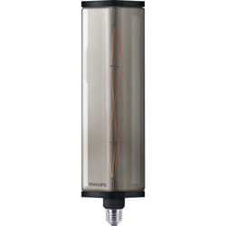 Philips Ampoule (à intensité variable)