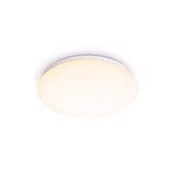 Philips Fonctionnel 8718699681036, LED, Ampoule(s) non remplaçable(s), 2700 K, 600 lm, IP20, Blanc