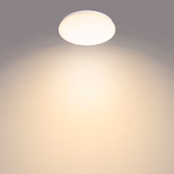 Philips Fonctionnel 8718699681036 éclairage de plafond Blanc Ampoule(s) non remplaçable(s) LED