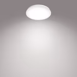 Philips Fonctionnel 8718699681050 éclairage de plafond Blanc Ampoule(s) non remplaçable(s) LED