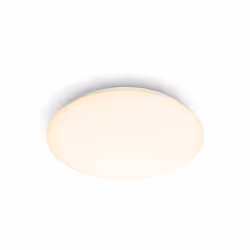 Philips Fonctionnel 8718699681098, LED, Ampoule(s) non remplaçable(s), 2700 K, 1000 lm, IP20, Blanc