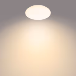 Philips Fonctionnel 8718699681098 éclairage de plafond Blanc Ampoule(s) non remplaçable(s) LED
